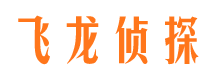 下花园侦探